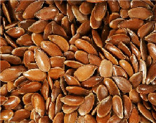 殼寡糖拌種對亞麻種子萌發的影響