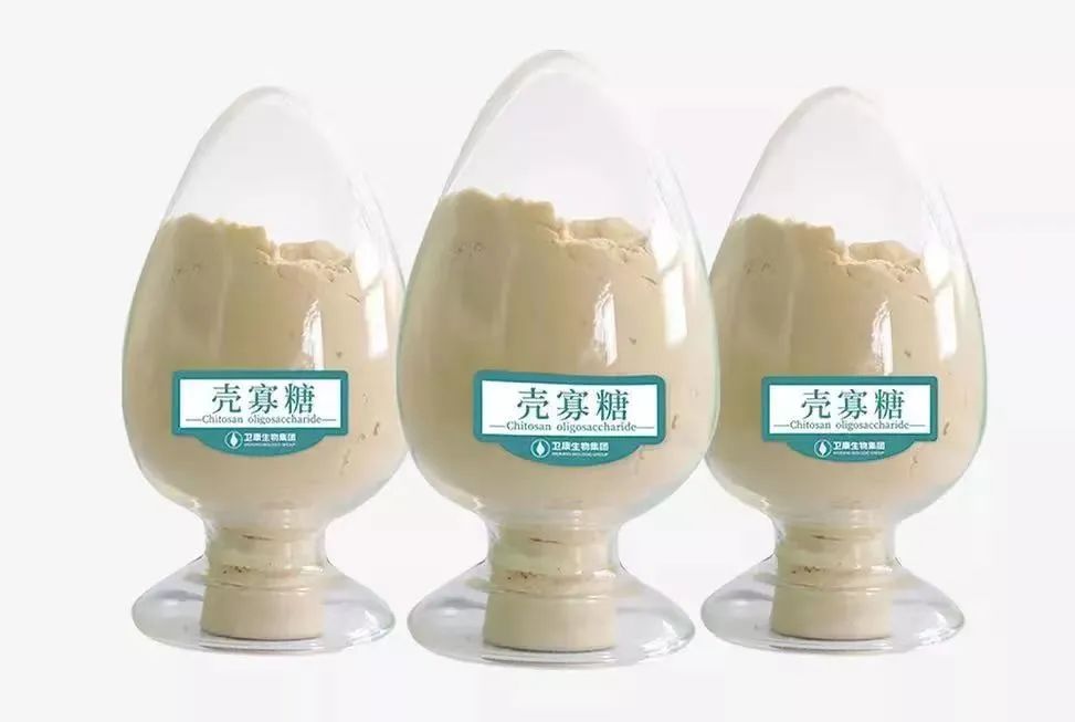 食用級(jí)殼寡糖對(duì)大腦有何幫助
